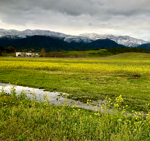 Happy Valley - Photo by Maryann Cord